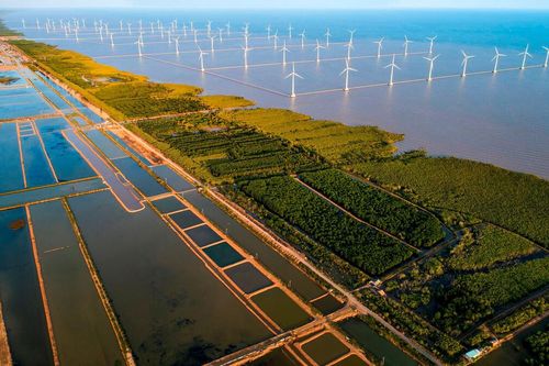 Việt Nam cần huy động hàng chục tỷ USD cho thích ứng biến đổi khí hậu