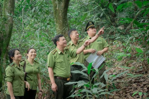 Thái Nguyên nâng cao hiệu quả quản lý, phát triển lâm nghiệp bền vững