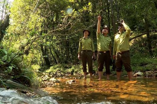 Vườn quốc gia Hoàng Liên - 'Kho báu' sinh thái và những thách thức trong công tác bảo tồn