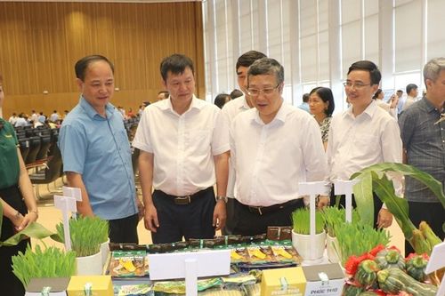Vụ Đông 2025:Các tỉnh phía Bắc đặt mục tiêu 5 triệu tấn nông sản