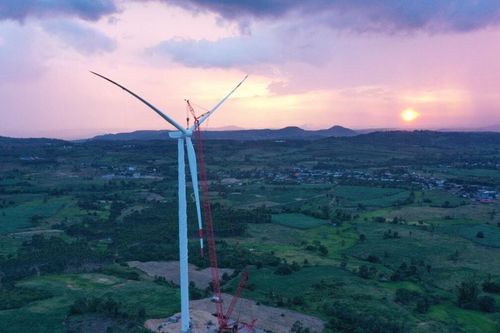 Công ty điện gió liên hệ mật thiết với Hoàng Sơn Group báo lỗ lũy kế 493 tỷ đồng, nợ phải trả gấp hơn 19 lần vốn chủ sở hữu