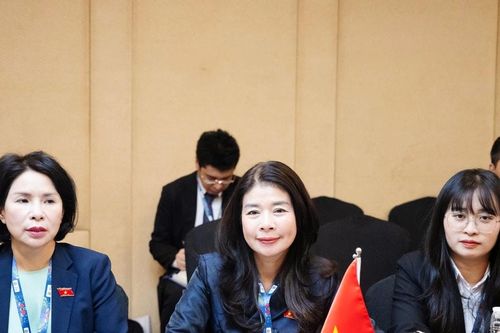 Đoàn Việt Nam đồng bảo trợ sáng kiến mới tại Phiên họp Ủy ban Tổ chức AIPA-46