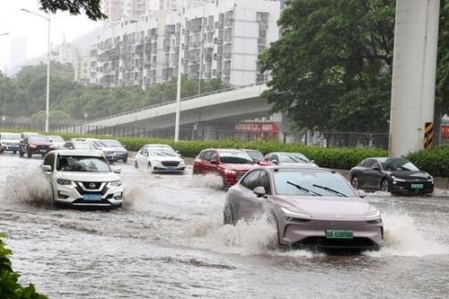 Bão Mitag đổ bộ, Trung Quốc kích hoạt ứng phó khẩn cấp