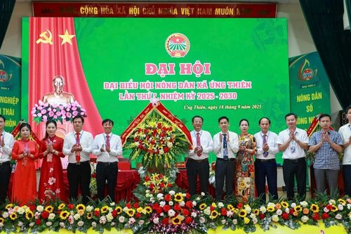 Nông dân xã Ứng Thiên: Đột phá kiến tạo nông thôn mới