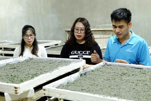 Hợp tác xã 118 đi đầu trong phong trào thi đua 'Vì người nghèo - Không để ai bị bỏ lại phía sau'