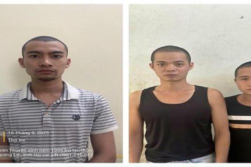 Lào Cai: Bắt giữ 3 đối tượng livestream lừa đảo bán đá 'đổ thạch'