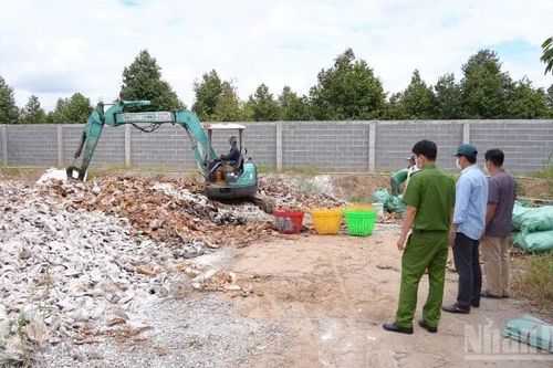 Đồng Tháp xử lý nghiêm các trường hợp vi phạm về môi trường
