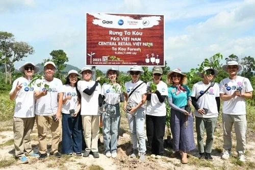 Lâm Đồng: Trồng 1.000 cây xanh tại Khu bảo tồn thiên nhiên Tà Kóu