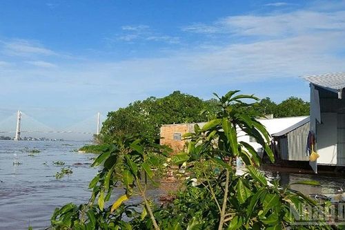 Đồng Tháp: Tập trung ứng phó mưa bão, triều cường