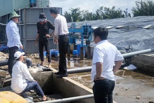Bãi rác An Hiệp (Vĩnh Long): Tiếp nhận rác thải của TP Bến Tre và huyện Châu Thành trước đây