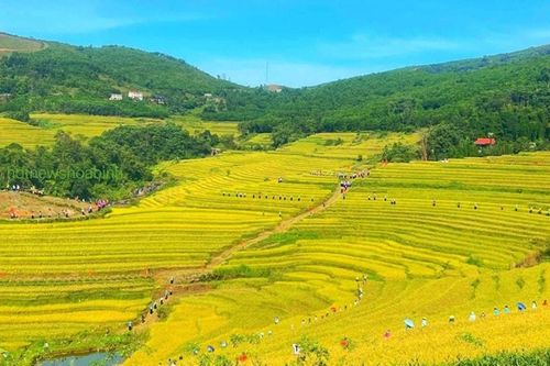 Phú Thọ tổ chức Lễ hội ruộng bậc thang Miền Đồi trong 2 ngày