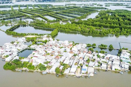 Có một ốc đảo giữa đầm