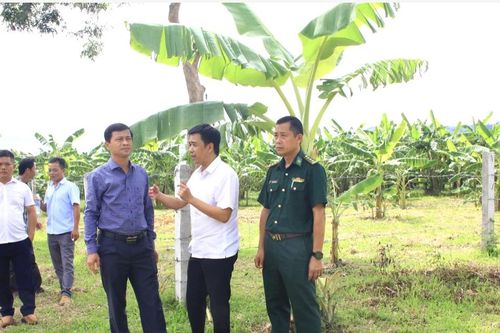 Quảng Trị khẩn trương làm điểm tập kết, di dời chợ chuối Tân Long trong tháng 9