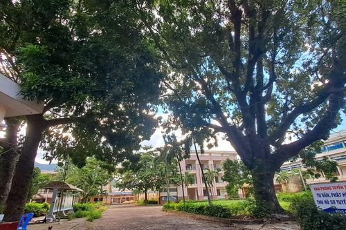 Khu 'đất vàng' trên tuyến đường ven biển giá khởi điểm hơn 1.100 tỷ đồng