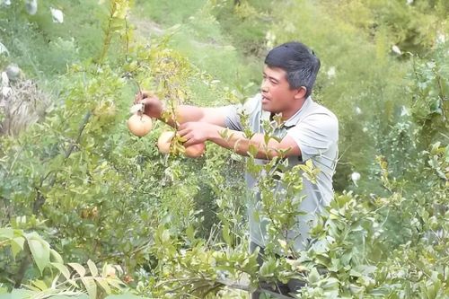 Ba 'chìa khóa vàng' giúp ngôi làng nhỏ thoát nghèo, làm được điều không tưởng
