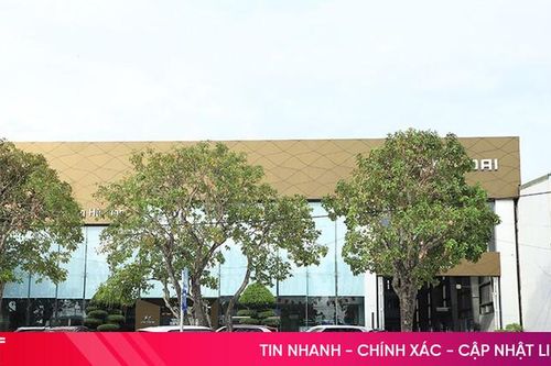 Vì sao chủ xế sang Palisade tố Hyundai Hà Tĩnh chậm giao hồ sơ?