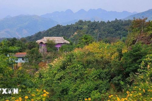 Phú Thọ: Điểm hẹn du lịch cộng đồng mới vùng Mường Thàng