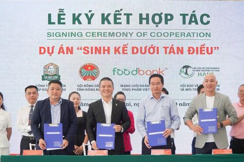 Phát triển nông nghiệp bền vững từ 'Sinh kế dưới tán điều'