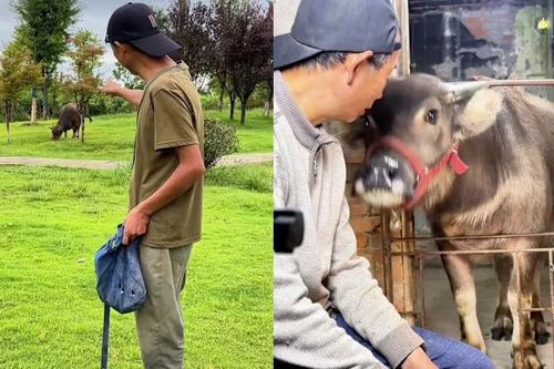 Hiện tượng người ra tù chia sẻ quá khứ trở nên nổi tiếng gây tranh cãi ở Trung Quốc