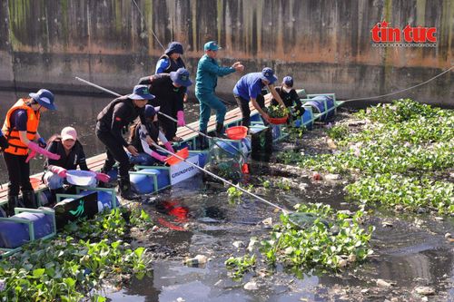 Bất ngờ: Hơn 100 tấn rác bị chặn lại sau 10 ngày vận hành phao chắn rác thế hệ mới