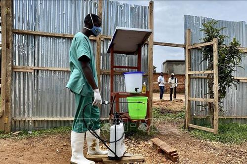 Vừa kiểm soát được bệnh đậu mùa khỉ, châu Phi lại đối mặt nguy cơ Ebola