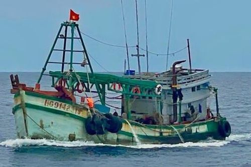 Ngư dân bị rắn biển cắn khi đang khai thác hải sản