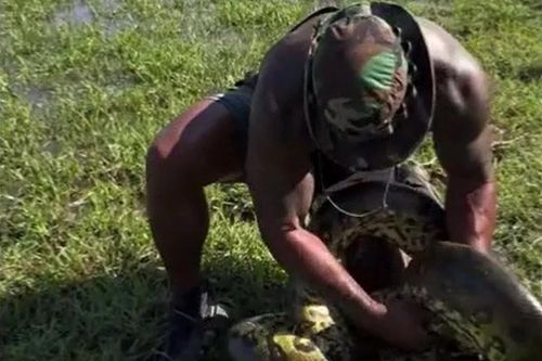 Người đàn ông tay không khống chế trăn anaconda khổng lồ, kết thúc bằng hành động gây sốc
