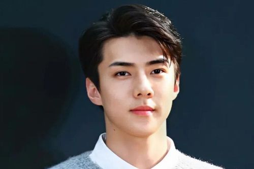 Sehun hoàn thành nghĩa vụ quân sự, fan EXO rần rần kêu gọi nhóm comeback