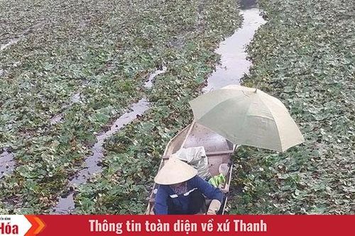 Bước xuống... đầm ấu