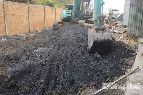 Đồng Tháp: Tăng cường phòng ngừa tội phạm và vi phạm pháp luật về môi trường