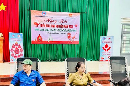 Phó Chủ tịch UBND tỉnh Nguyễn Thị Thanh Lịch làm Trưởng Ban Chỉ đạo vận động hiến máu tình nguyện tỉnh Gia Lai