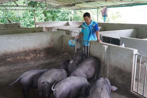 Trưởng bản gương mẫu, làm kinh tế giỏi