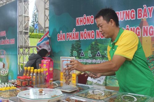 Nơi hội tụ phong vị rừng và biển