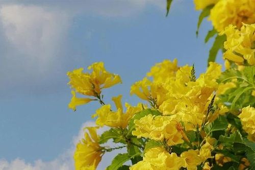 Nghe mùa thu kể chuyện