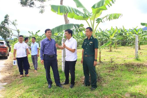 Khẩn trương làm điểm tập kết, di dời 'chợ chuối' Tân Long