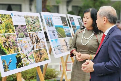 Hành trình phụng sự và sáng tạo