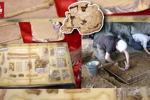 Bộ xương 'chiến binh' 13.000 năm tuổi, tiết lộ bí mật chưa từng được biết đến