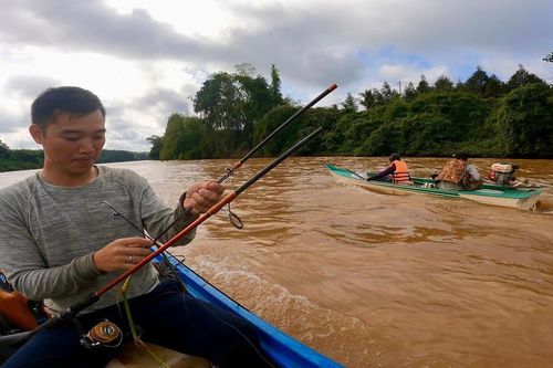 Săn lộc dưới rừng Mã Đà