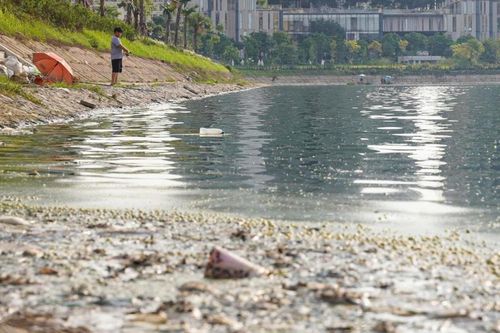 Cỏ um tùm, đầy cá chết, ngập rác trong công viên 744 tỷ đồng ở Hà Nội