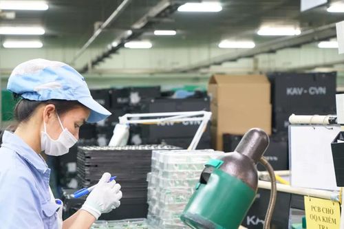 Tận dụng cơ hội từ thuế tối thiểu toàn cầu