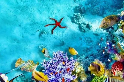 Hiệp định về biển cả có hiệu lực từ năm 2026