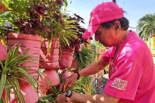 Những 'chiến binh xanh' giữa lòng đô thị