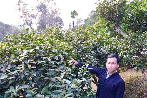 Người trẻ Tuyên Quang về quê khởi nghiệp: Làm giàu từ những sản phẩm đặc trưng