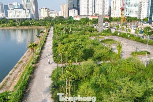 Cá chết bốc mùi, cỏ dại cao quá đầu trong công viên gần 750 tỷ đồng tại Hà Nội