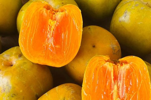 Đặc sản mùa thu từ Thái Nguyên xuống Hà Nội, khách kiên nhẫn chờ 1 năm để mua