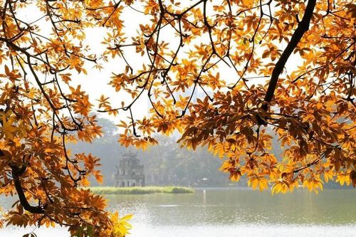 Hà Nội lọt top những điểm đến ngắm lá mùa thu đẹp nhất châu lục