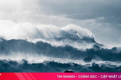 Cảnh đại dương gây sửng sốt