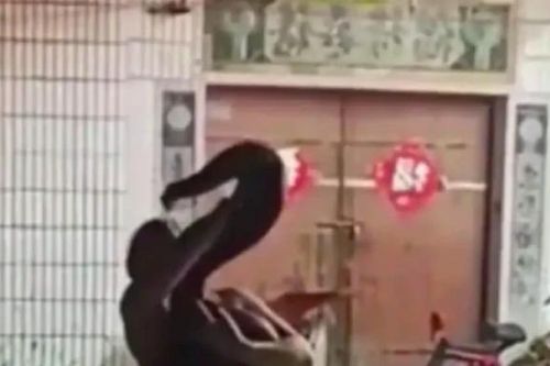 Đi đám cưới, cô gái trẻ bị con trăn 'khủng' cắn vào mặt và cái kết bất ngờ