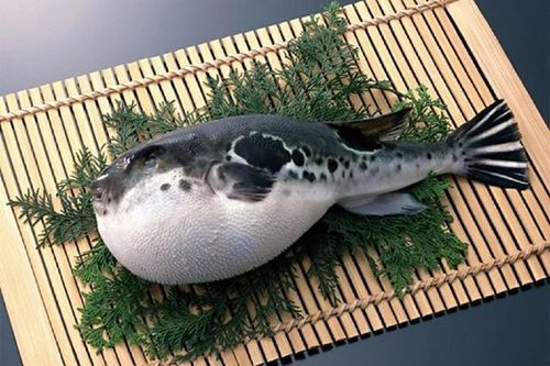 Nấu món cá tưởng ngon hóa ra 'kịch độc', một người tử vong, 2 người còn lại nhập viện