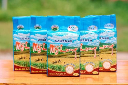 Phú Thọ xây dựng chỉ dẫn địa lý cho sản phẩm gạo nếp Gà Gáy Mỹ Lung